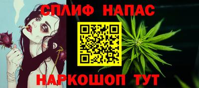 mdpv Краснознаменск