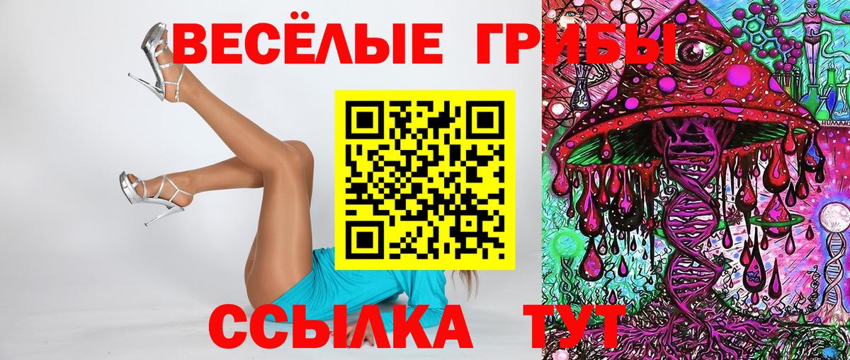 Псилоцибиновые грибы GOLDEN TEACHER Избербаш