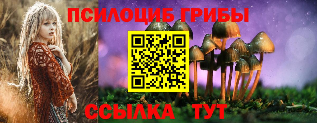 наркошоп  Вход с VPN  Избербаш  Псилоцибиновые грибы ЛСД 